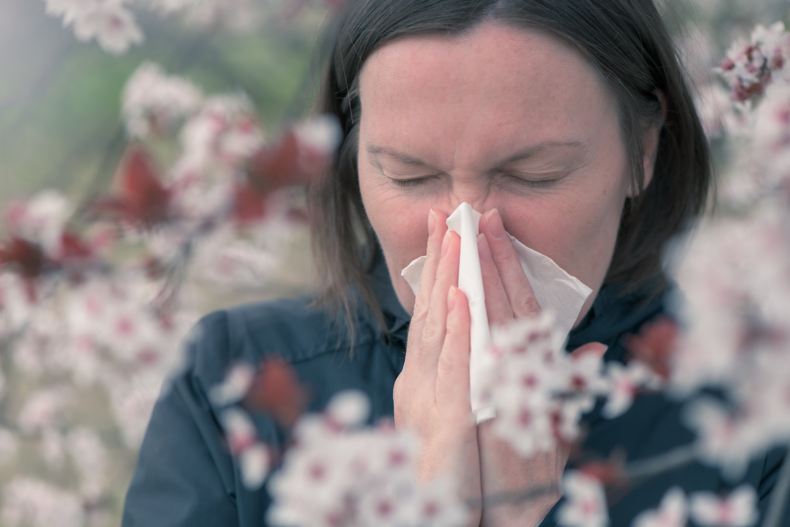 Jakie Pyłki Wywołują Alergię Wiosną Co Stosować Na Katar Alergiczny Ppr 2406